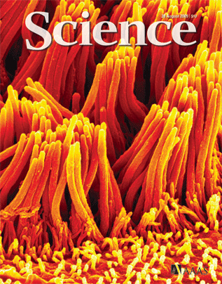 science_journal_cover_clean