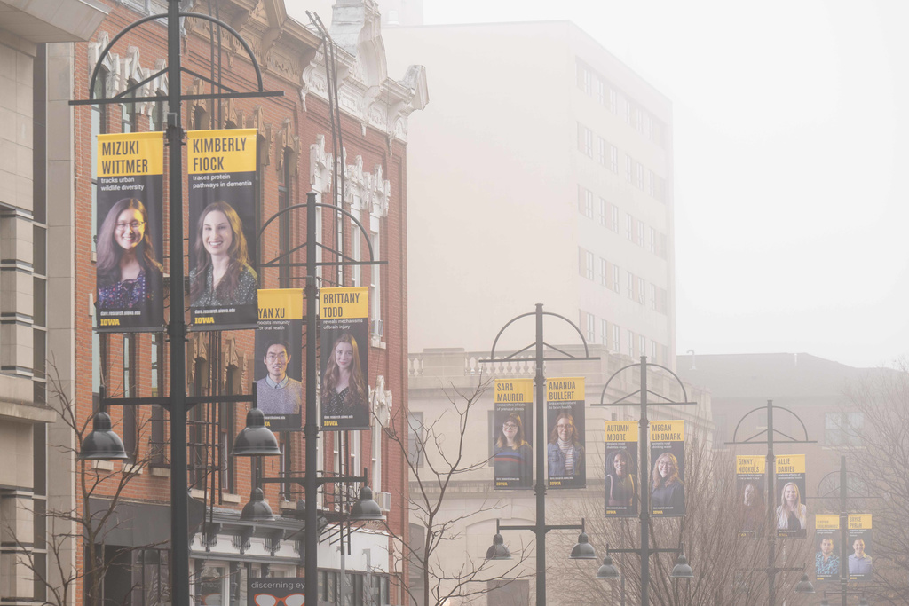 Banners on Display in Downtown Iowa City