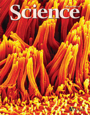 Science Cover science_journal_cover_clean