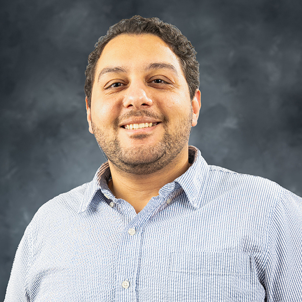 Hesham R M Abdelsamad