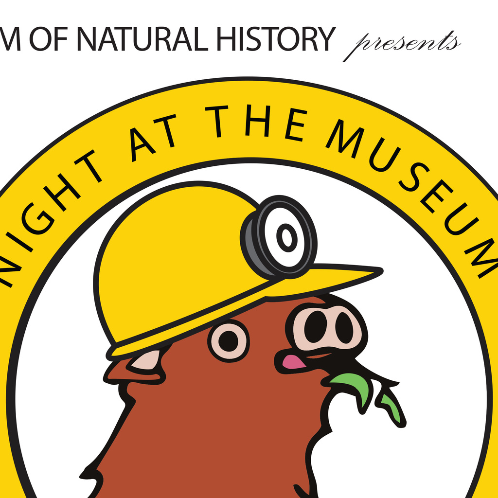 Night At The Museum promotional image