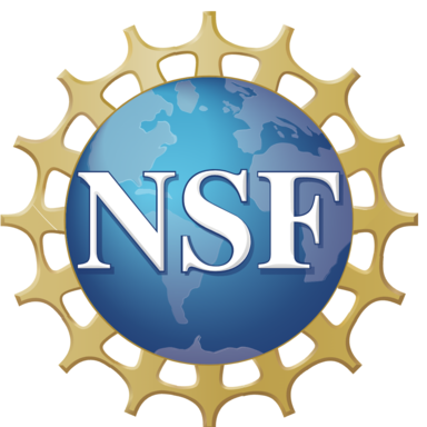 Logo of the US National Science Foundation