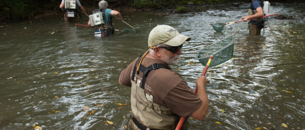 State Hygienic Lab limnology staff in river State Hygienic Lab limnology staff in river