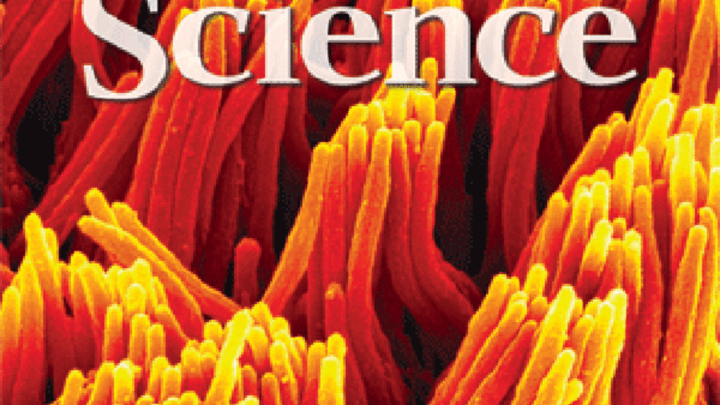 science_journal_cover_clean2halflarge_0.gif
