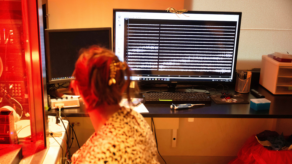 Psychological and Brain Sciences Labs